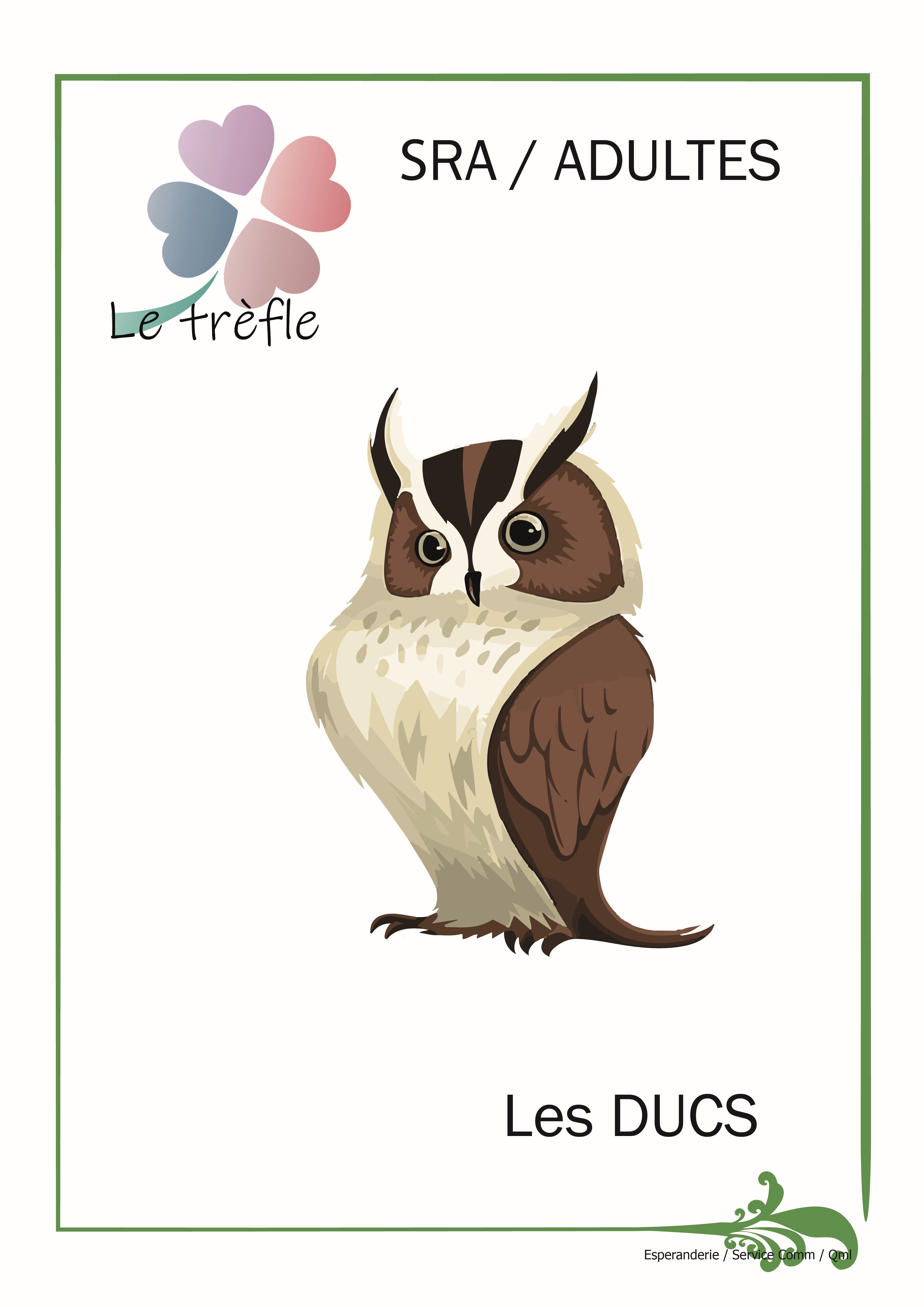 DUCSpour site