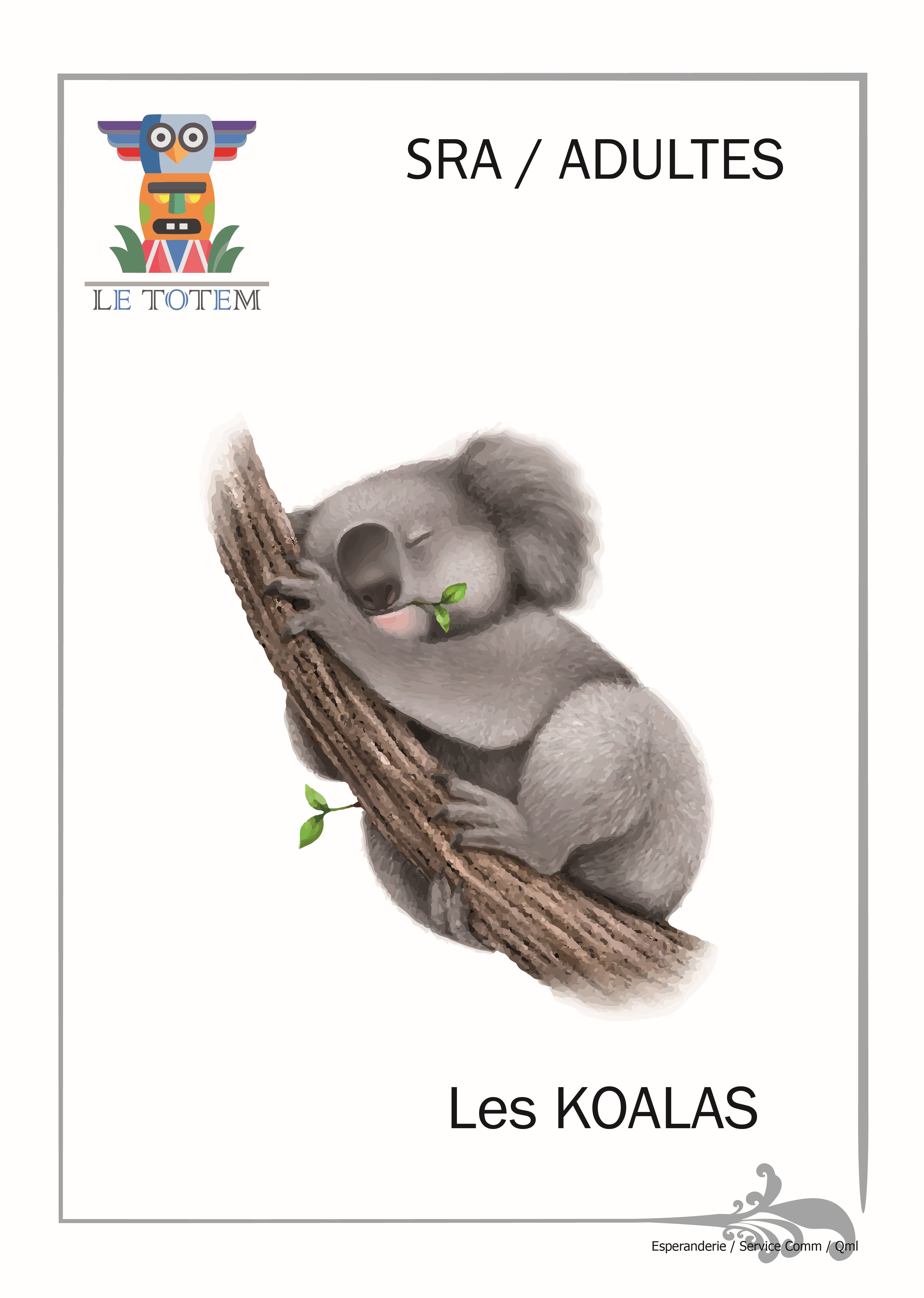 KOALAS pour site