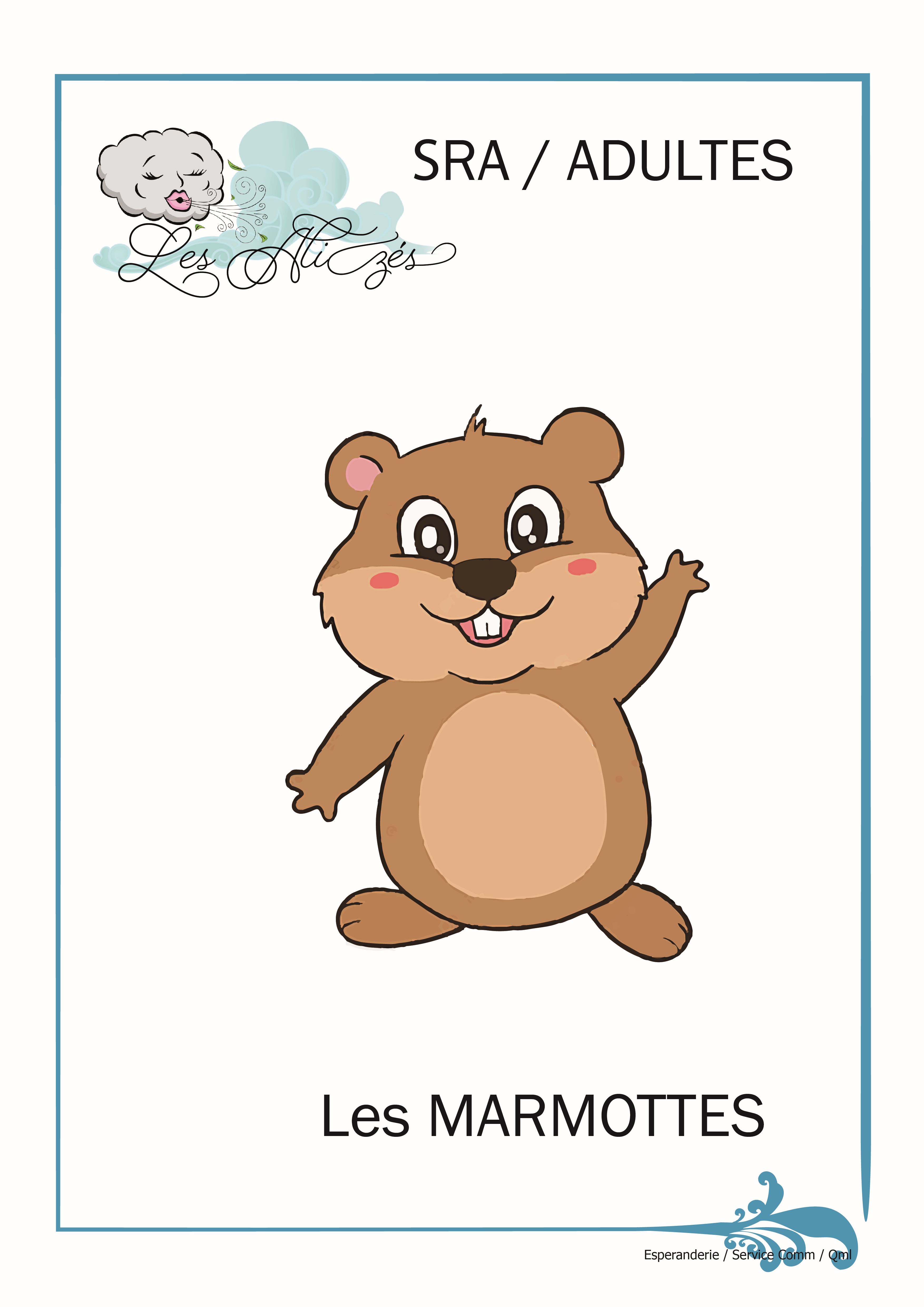 MARMOTTES pour site