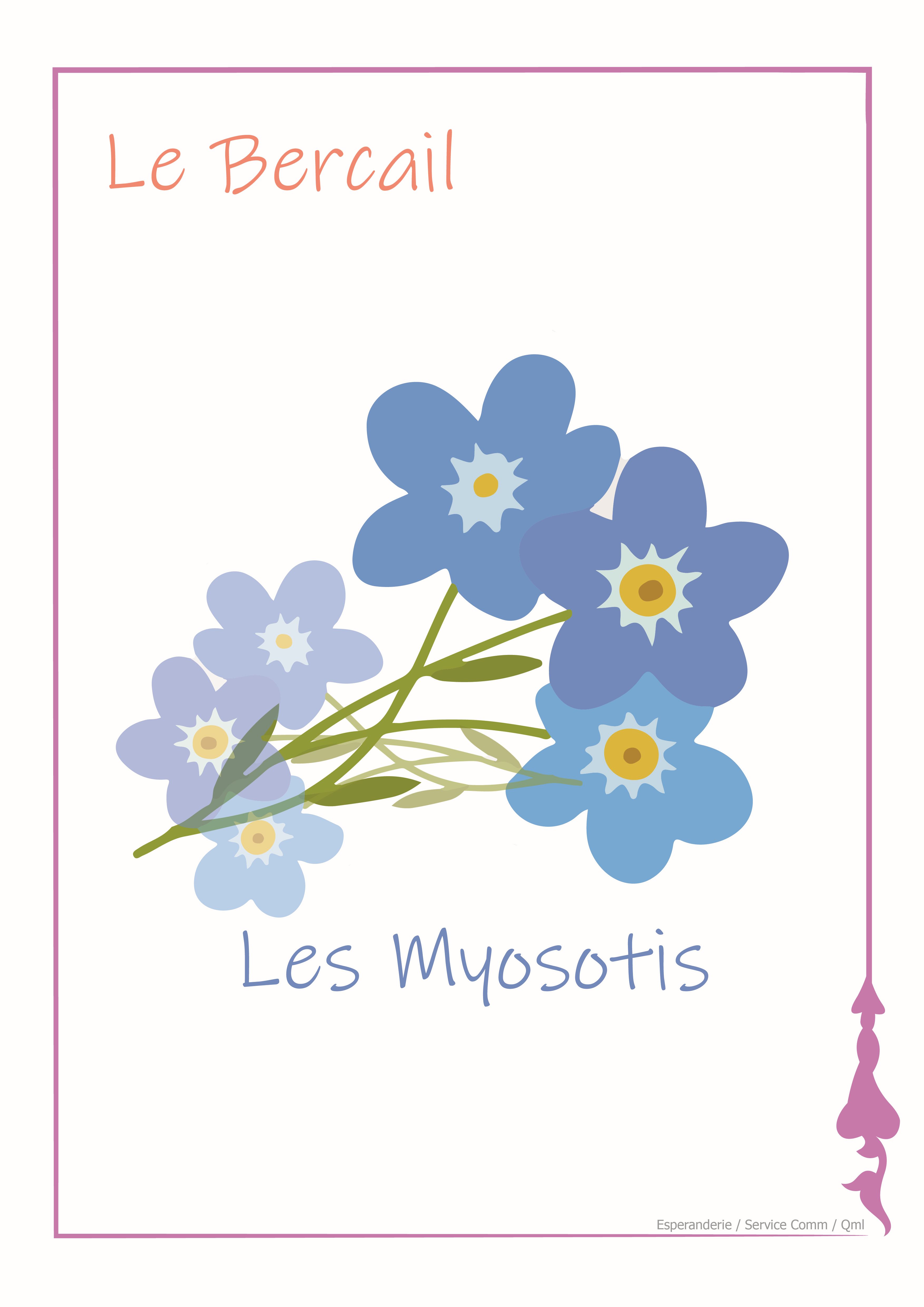 MYOSOTIS pour site