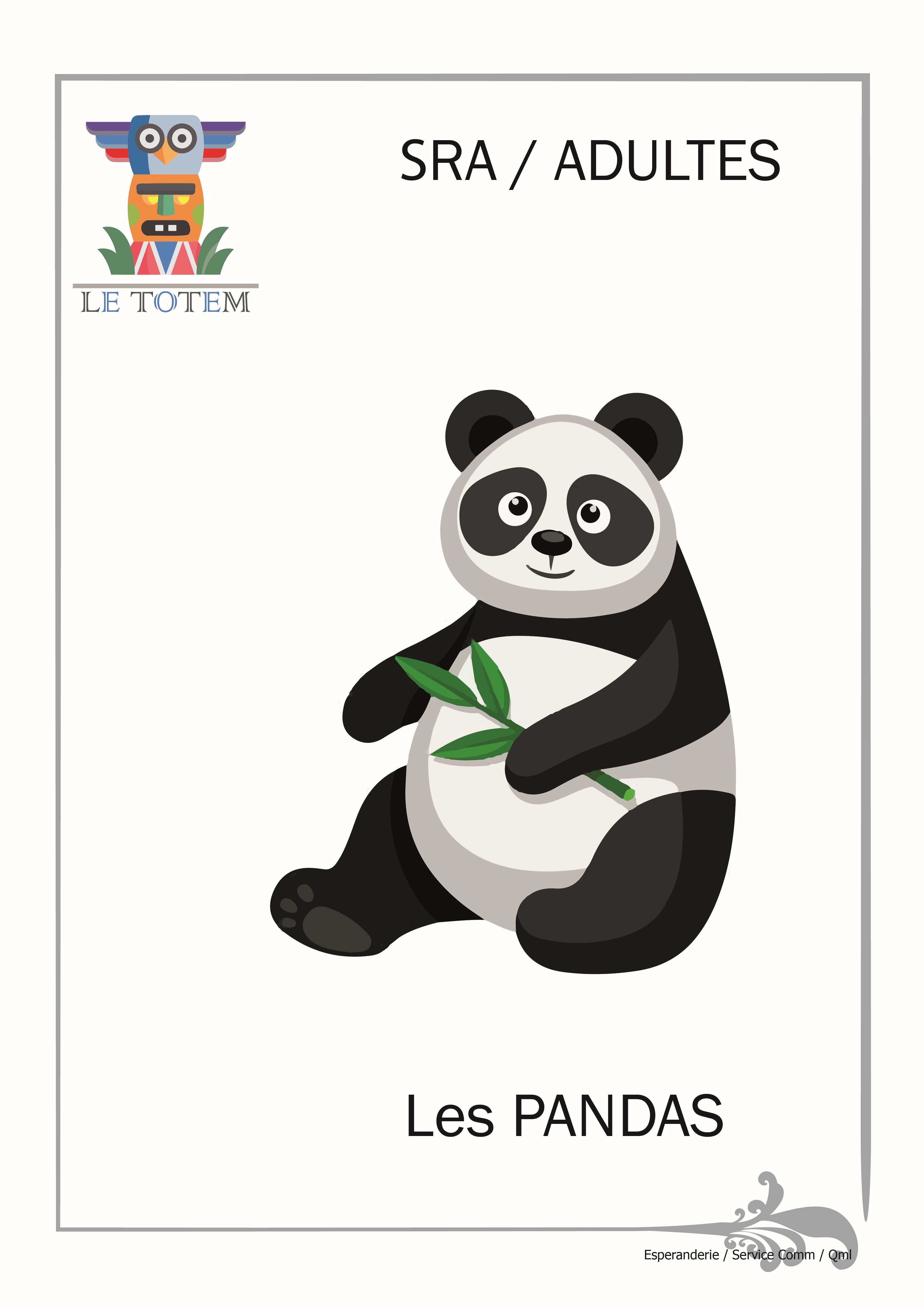 PANDAS pour site